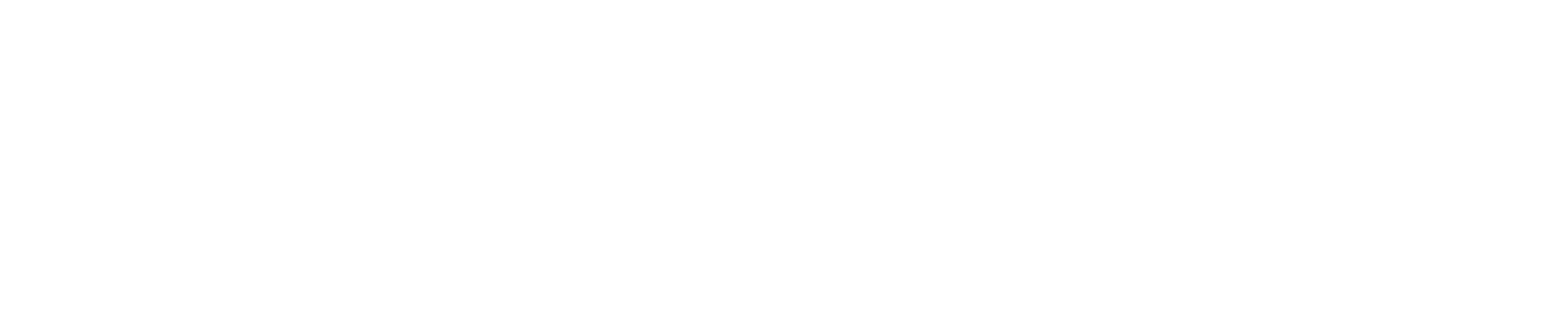 Ionguard